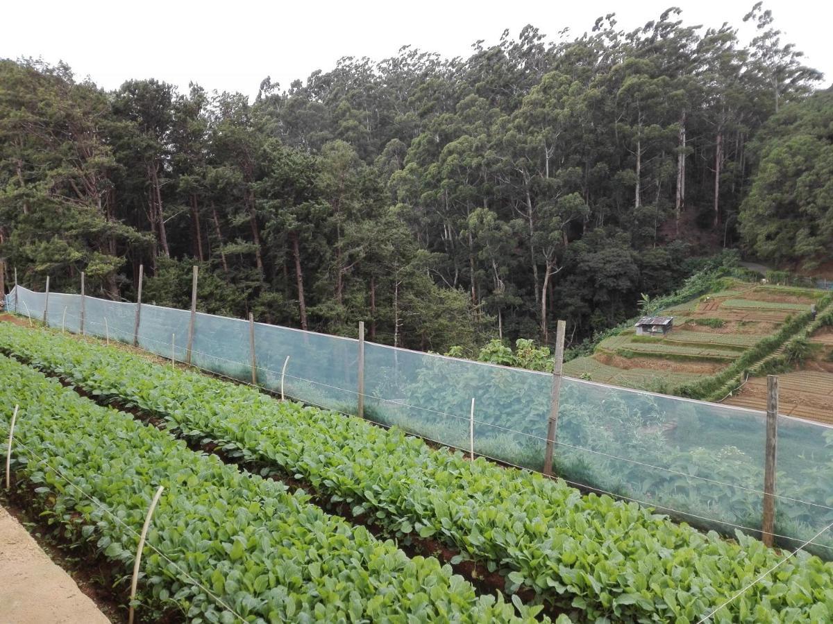 Keshiya Holiday Home Nuwara Eliya Exterior foto